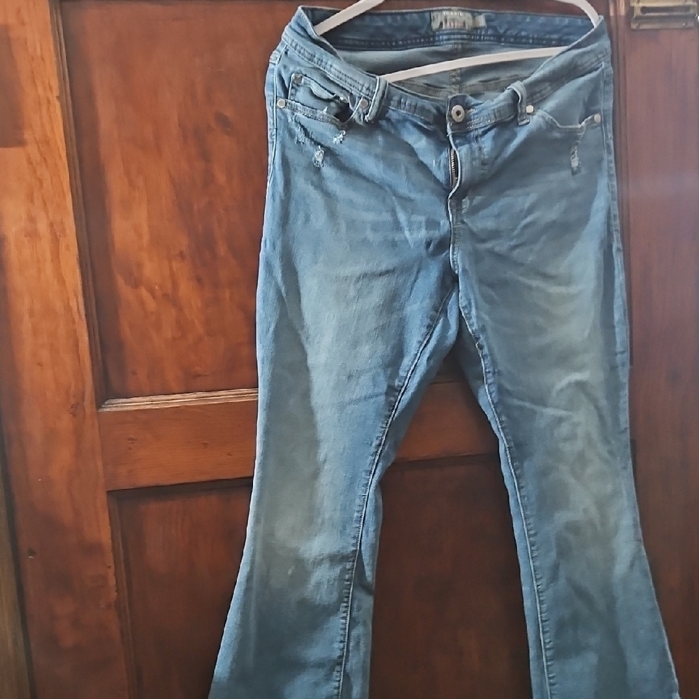 Torrid Blue Flare Women's Jeans